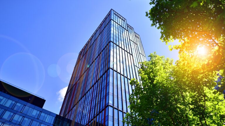 Office building with blue sky and sun filtering through the trees